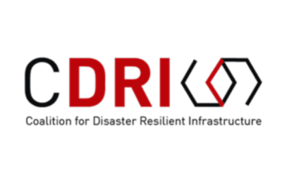 Role of Development Financing Institutions (DFIs) and International Organizations (IOs) in accelerating, aligning and scaling-up the finance for resilience of infrastructure